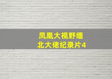 凤凰大视野缅北大佬纪录片4