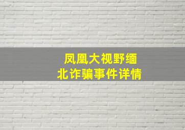 凤凰大视野缅北诈骗事件详情