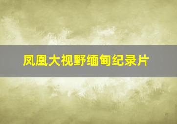 凤凰大视野缅甸纪录片