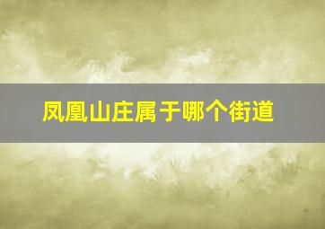 凤凰山庄属于哪个街道