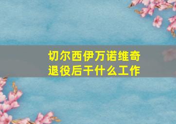 切尔西伊万诺维奇退役后干什么工作