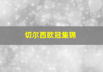 切尔西欧冠集锦