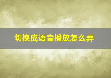 切换成语音播放怎么弄