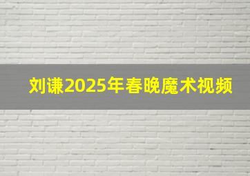 刘谦2025年春晚魔术视频