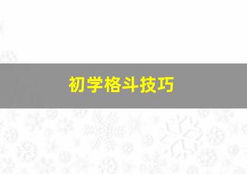 初学格斗技巧