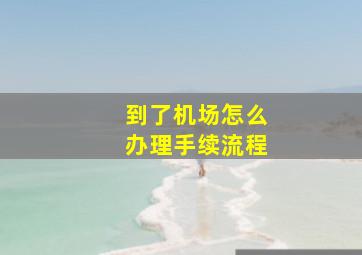 到了机场怎么办理手续流程