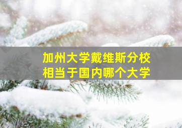 加州大学戴维斯分校相当于国内哪个大学