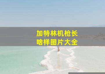 加特林机枪长啥样图片大全