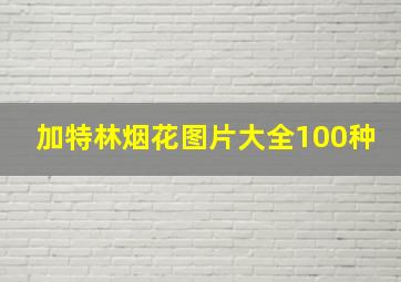 加特林烟花图片大全100种