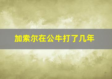 加索尔在公牛打了几年