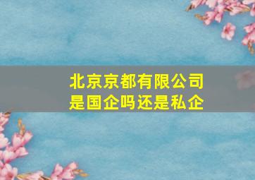 北京京都有限公司是国企吗还是私企