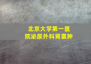 北京大学第一医院泌尿外科肾囊肿