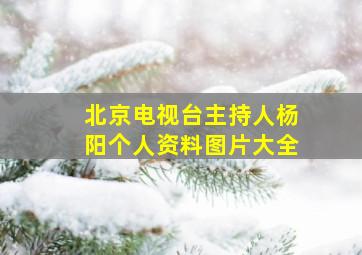 北京电视台主持人杨阳个人资料图片大全