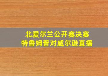 北爱尔兰公开赛决赛特鲁姆普对威尔逊直播