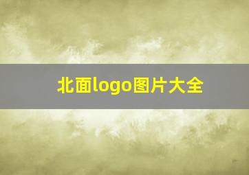 北面logo图片大全