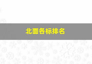 北面各标排名