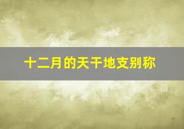 十二月的天干地支别称