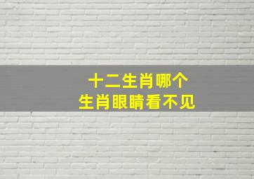 十二生肖哪个生肖眼睛看不见