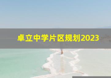 卓立中学片区规划2023