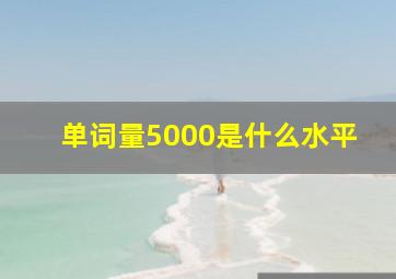 单词量5000是什么水平