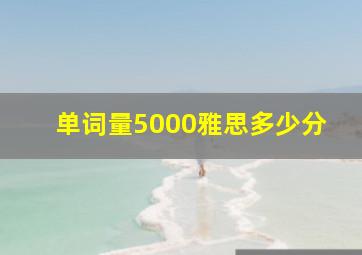 单词量5000雅思多少分