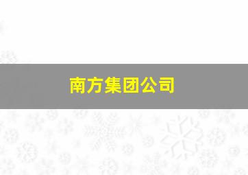 南方集团公司