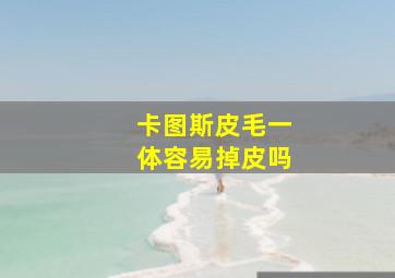 卡图斯皮毛一体容易掉皮吗