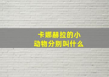 卡娜赫拉的小动物分别叫什么