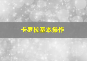 卡罗拉基本操作