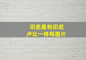 印尼盾和印尼卢比一样吗图片