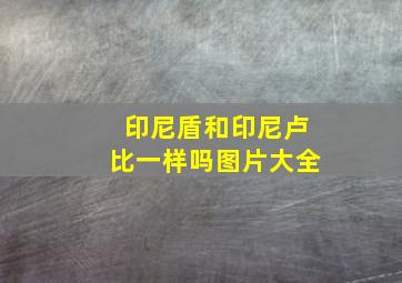 印尼盾和印尼卢比一样吗图片大全