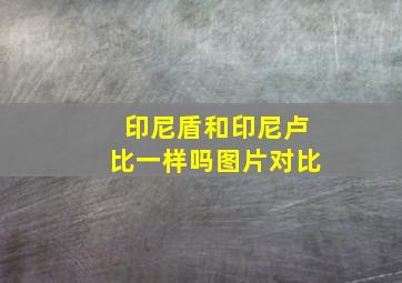 印尼盾和印尼卢比一样吗图片对比