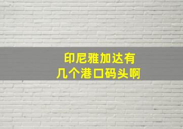 印尼雅加达有几个港口码头啊