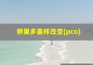 卵巢多囊样改变(pco)