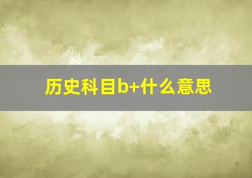 历史科目b+什么意思