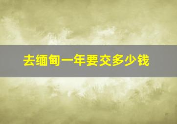 去缅甸一年要交多少钱