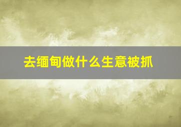 去缅甸做什么生意被抓