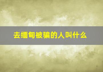 去缅甸被骗的人叫什么