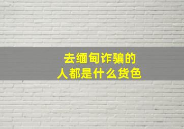 去缅甸诈骗的人都是什么货色