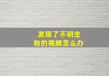 发现了不明生物的视频怎么办