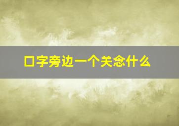 口字旁边一个关念什么