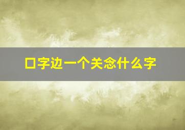 口字边一个关念什么字