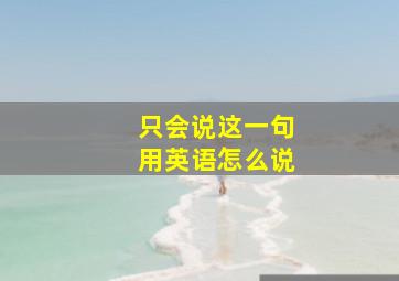 只会说这一句用英语怎么说