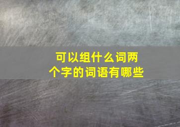 可以组什么词两个字的词语有哪些