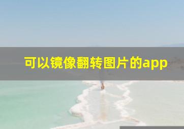 可以镜像翻转图片的app