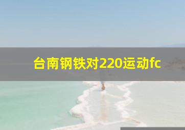 台南钢铁对220运动fc