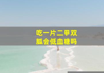 吃一片二甲双胍会低血糖吗