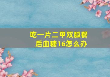 吃一片二甲双胍餐后血糖16怎么办