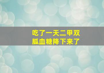 吃了一天二甲双胍血糖降下来了