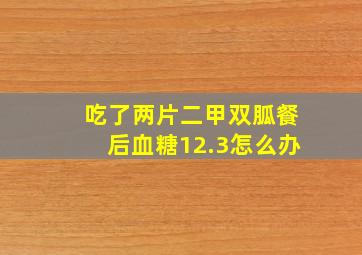 吃了两片二甲双胍餐后血糖12.3怎么办